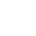 Northern Laundry logo